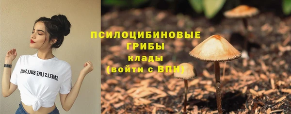 PSILOCYBIN Алзамай