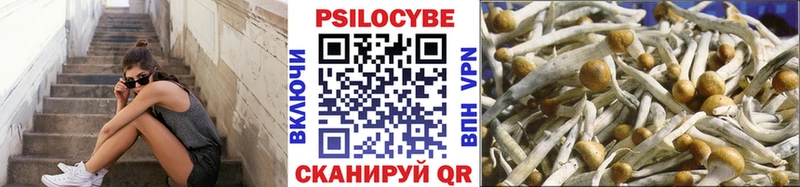 Галлюциногенные грибы Cubensis  Сухой Лог 